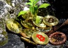Kuotasi BTC diluar dugaan berbalik ke pertumbuhan