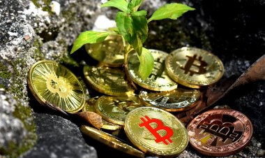 Kuotasi BTC diluar dugaan berbalik ke pertumbuhan