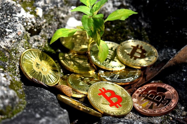 Kuotasi BTC diluar dugaan berbalik ke pertumbuhan