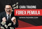 Cara Trading Forex untuk Pemula