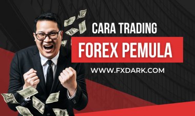 Cara Trading Forex untuk Pemula