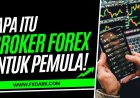 Apa Itu Broker Forex? Cara Memilih Broker yang Tepat untuk Pemula