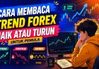 Cara Membaca Trend Forex Naik atau Turun untuk Pemula