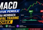 MACD untuk Pemula: Cara Membaca Sinyal Trading Forex