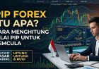 Pip Forex Itu Apa? Cara Menghitung Nilai Pip untuk Pemula