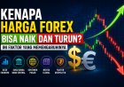 Kenapa Harga Forex Bisa Naik dan Turun? Ini Faktor yang Memengaruhinya