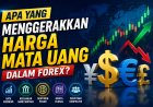 Apa yang Menggerakkan Harga Mata Uang dalam Forex?