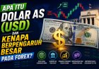 Apa Itu Dolar AS (USD) dan Kenapa Berpengaruh Besar pada Forex?