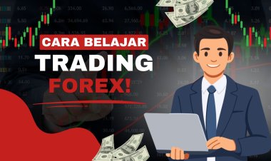 Cara Belajar Trading Forex dari Nol untuk Pemula
