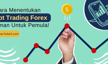 Cara Menentukan Lot Trading Forex yang Aman untuk Pemula