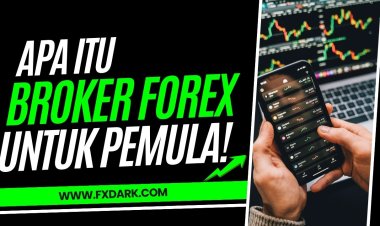 Apa Itu Broker Forex? Cara Memilih Broker yang Tepat untuk Pemula