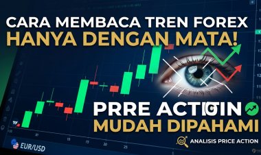 Cara Membaca Arah Tren Forex Menggunakan Price Action (Mudah Dipahami)