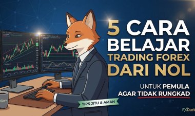 5 Cara Belajar Trading Forex dari Nol untuk Pemula Agar Tidak Rungkad