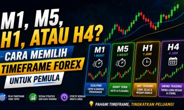 M1, M5, H1, atau H4? Cara Memilih Timeframe Forex untuk Pemula