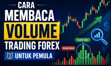 Cara Membaca Volume Trading Forex untuk Pemula