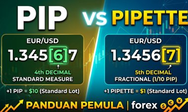 Pip vs Pipette dalam Forex: Apa Bedanya? Panduan untuk Pemula