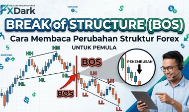 Break of Structure (BOS): Cara Membaca Perubahan Struktur Forex