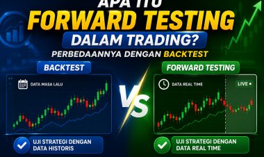 Apa Itu Forward Testing dalam Trading? Perbedaannya dengan Backtest