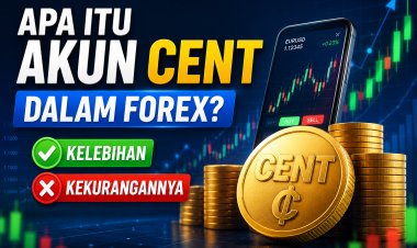 Apa Itu Akun Cent dalam Forex? Kelebihan dan Kekurangannya