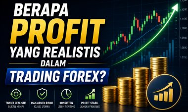 Berapa Profit yang Realistis dalam Trading Forex?