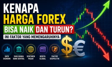 Kenapa Harga Forex Bisa Naik dan Turun? Ini Faktor yang Memengaruhinya