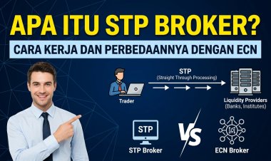 Apa Itu STP Broker? Cara Kerja dan Perbedaannya dengan ECN