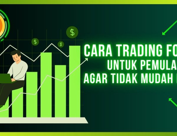 Cara Trading Forex untuk Pemula agar Tidak Mudah Loss!