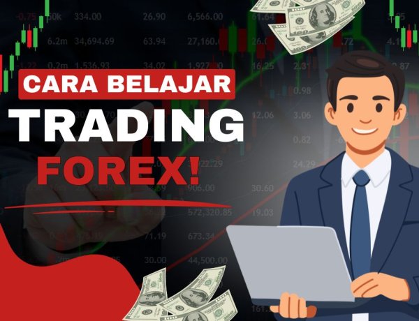 Cara Belajar Trading Forex dari Nol untuk Pemula