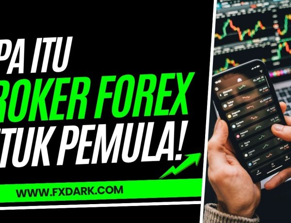 Apa Itu Broker Forex? Cara Memilih Broker yang Tepat untuk Pemula