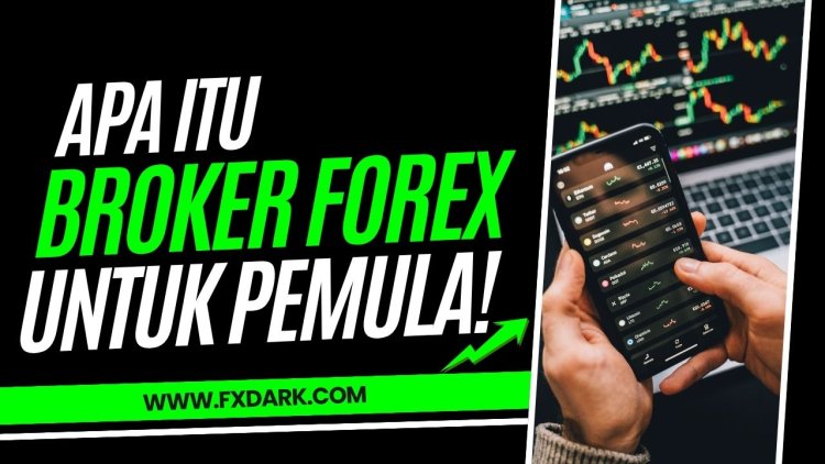 Apa Itu Broker Forex? Cara Memilih Broker yang Tepat untuk Pemula