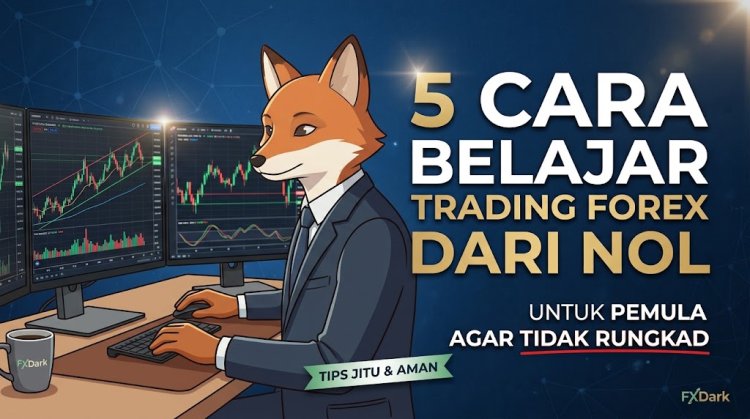 5 Cara Belajar Trading Forex dari Nol untuk Pemula Agar Tidak Rungkad