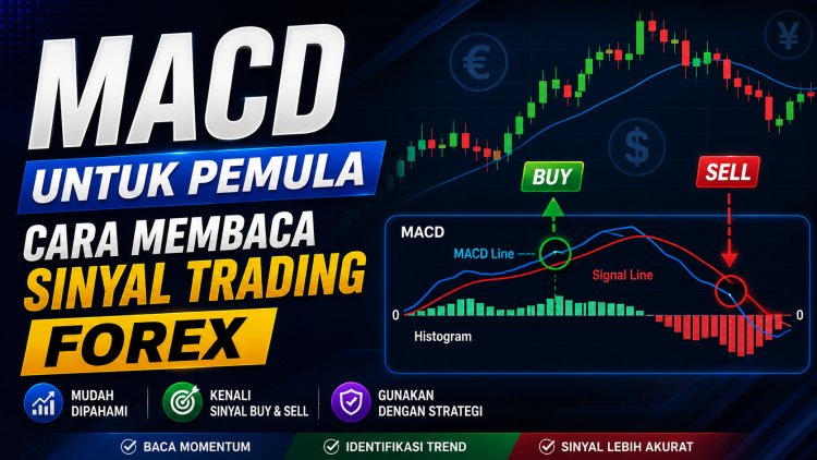 MACD untuk Pemula: Cara Membaca Sinyal Trading Forex