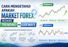 Cara Mengetahui Apakah Market Forex Sedang Trending atau Sideways