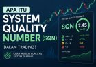 Apa Itu System Quality Number (SQN) dalam Trading? Cara Menilai Kualitas Sistem Trading