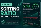 Apa Itu Sortino Ratio dalam Trading? Cara Mengukur Return dengan Memperhatikan Risiko Penurunan