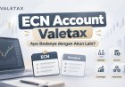 ECN Account Valetax, Apa Bedanya dengan Akun Lain?