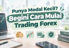Punya Modal Kecil? Begini Cara Mulai Trading Forex