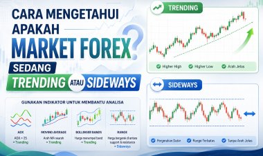 Cara Mengetahui Apakah Market Forex Sedang Trending atau Sideways