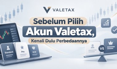 Sebelum Pilih Akun Valetax, Kenali Dulu Perbedaannya