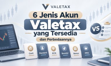 6 Jenis Akun Valetax yang Tersedia dan Perbedaannya