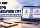 Lupa Password XM? Bedakan Profil dan Akun Trading