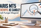 Garis MT5 Menempel ke Candle? Kenali Fungsi Magnet