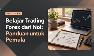 Belajar Trading Forex dari Nol: Panduan untuk Pemula