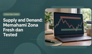 Supply and Demand: Memahami Zona Fresh dan Tested